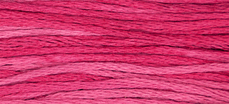 2265 Strawberry Fields – Weeks Dye Works Floss