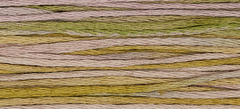 2286 Thistle Pink/Green – Weeks Dye Works Floss