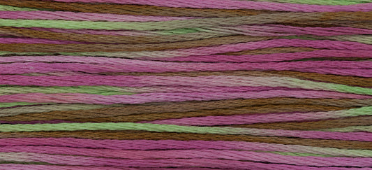 4147 Spumoni – Weeks Dye Works Floss