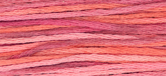 4153 Berry Splash – Weeks Dye Works Floss