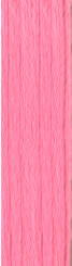 N12 Pink – Neon Rays Ribbon