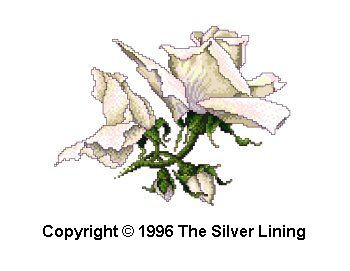 Silver Lining Roses charts